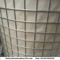 Welded Wire Mesh Galvanized Welded Wire Mesh Roll